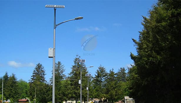 Solar Street Lights Installed Along Road in Daylight