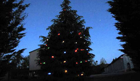 Round Solar Road Stud