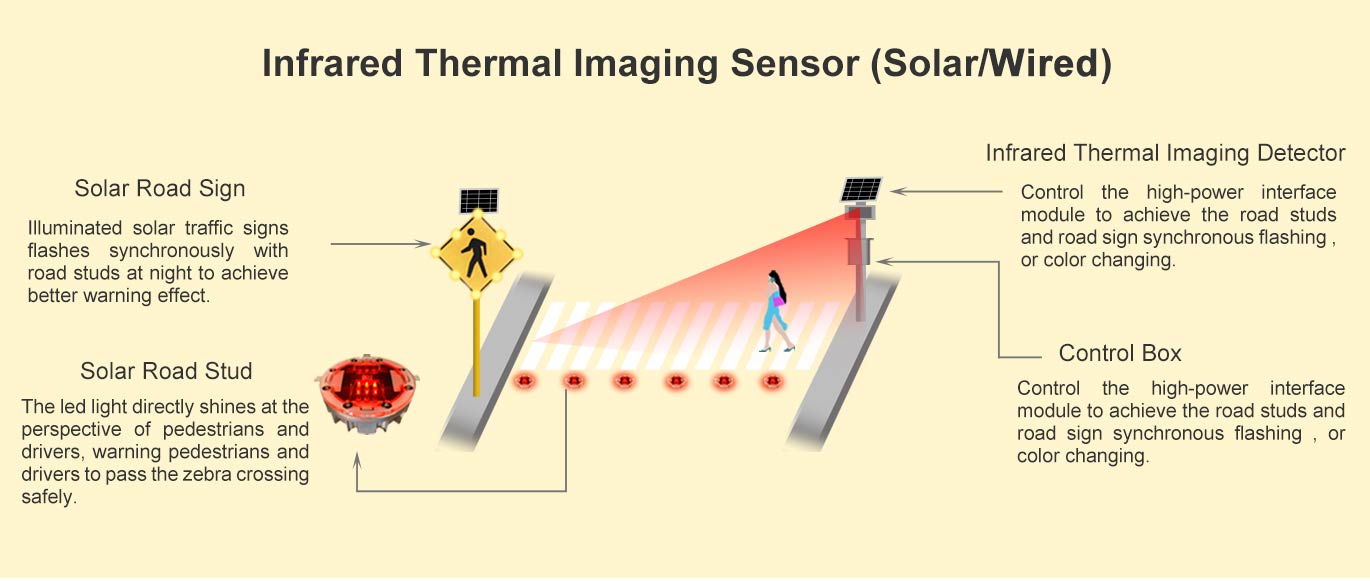 Pedestrian Crossing Monitoring System