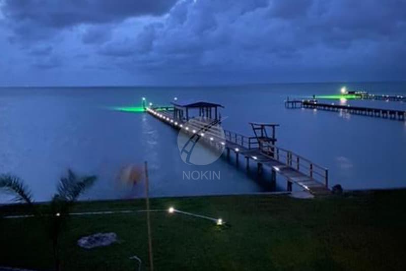 road stud for path heavy duty light