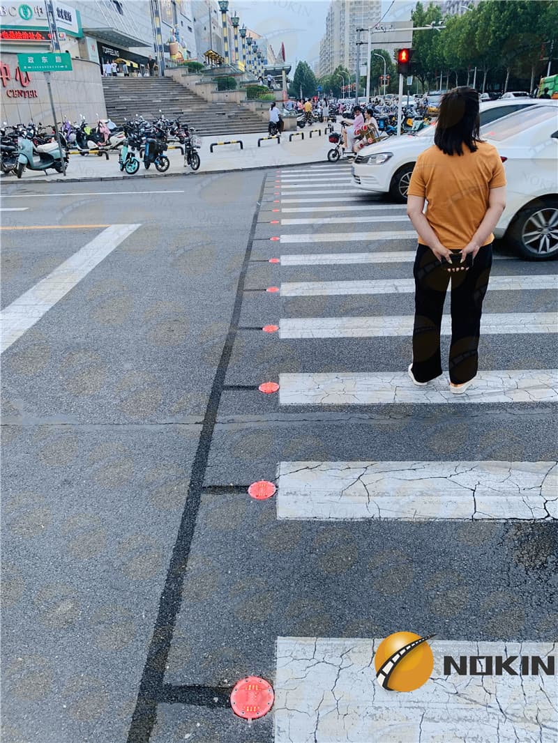 Intelligent Pedestrian System