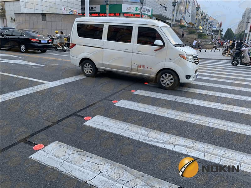 Intelligent Pedestrian System